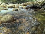 姑婆山山泉水