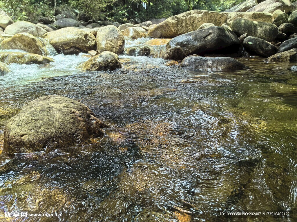 姑婆山山泉水