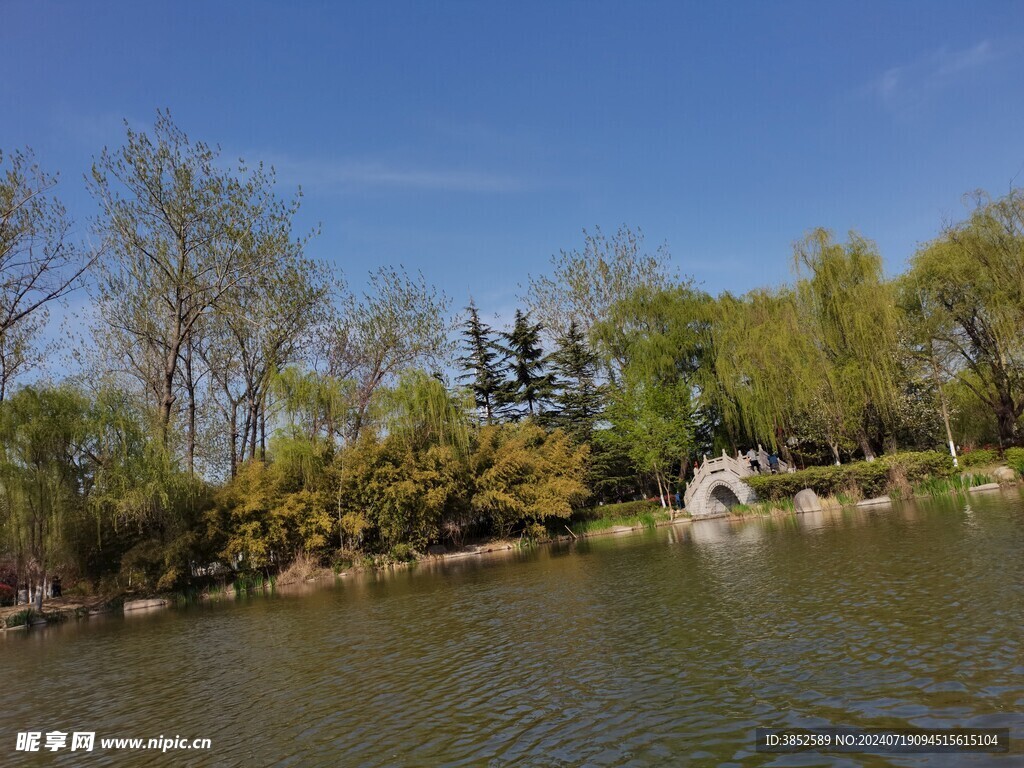 公园湖面风景