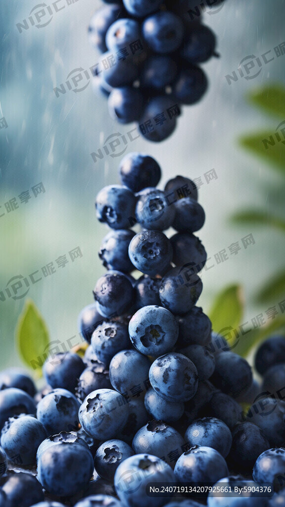 蓝莓图片做背景 蓝莓的多条功效