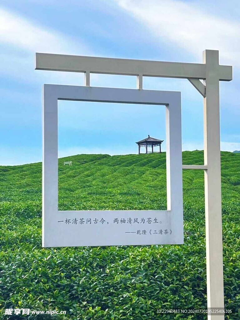 茶园