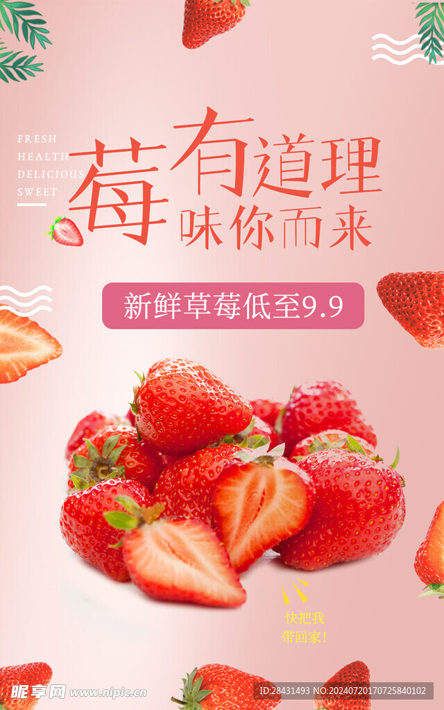 莓有道理