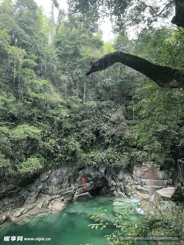 清澈见底的山涧