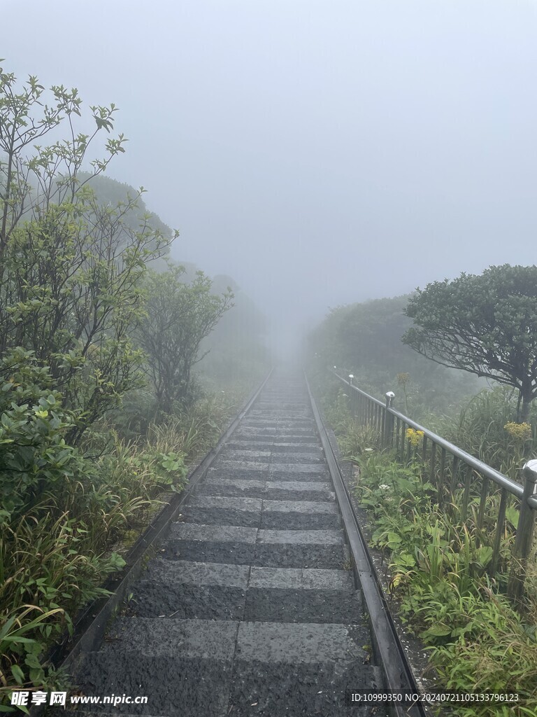 猫儿山上山阶梯