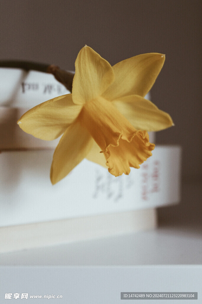 水仙花
