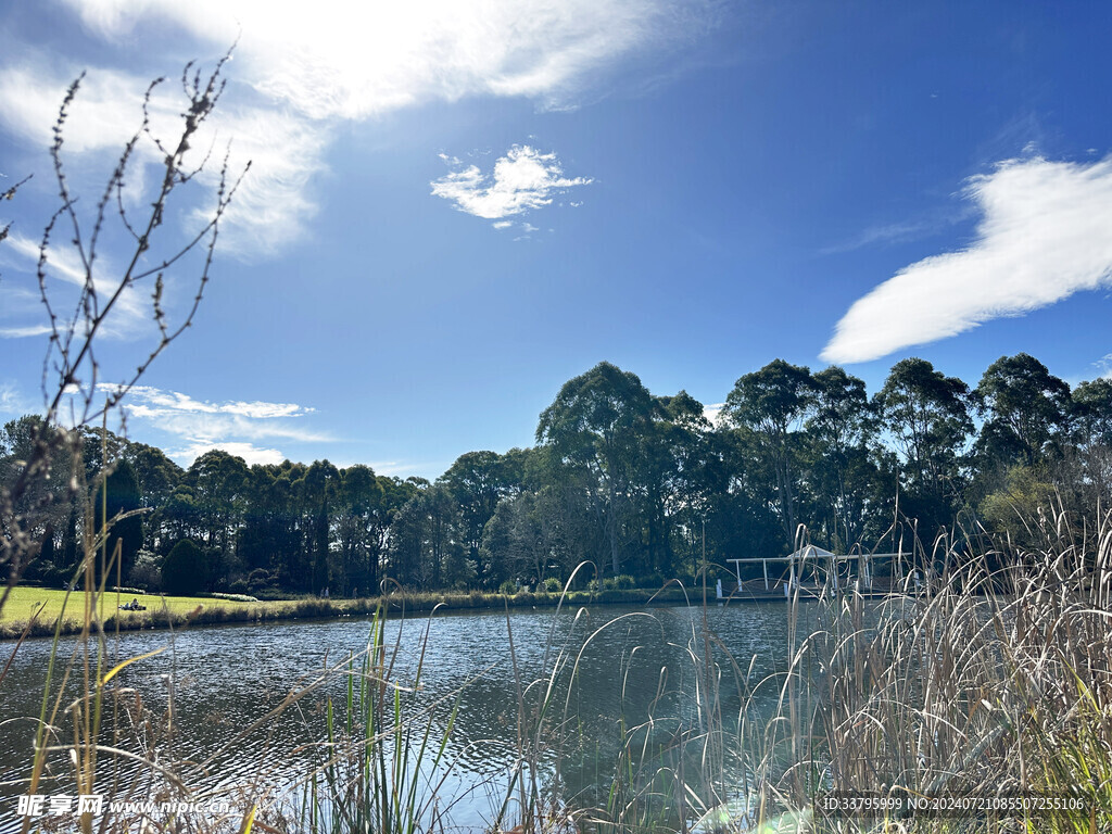 湖景