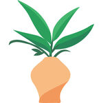绿植盆栽绿色植物扁平