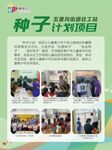 种子计划 志愿服务海报