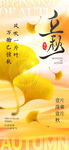 立秋海报 
