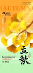 立秋海报 