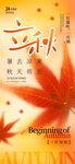 立秋海报 