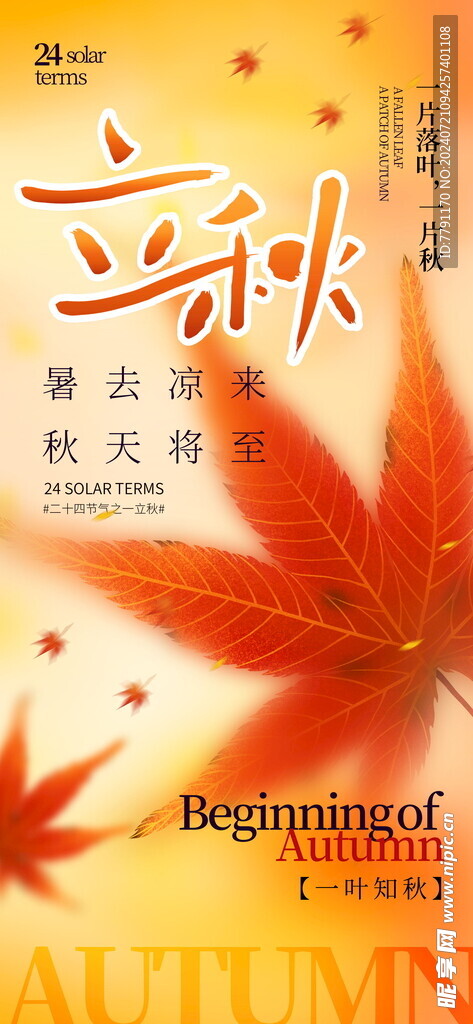 立秋海报 
