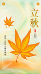 立秋海报 