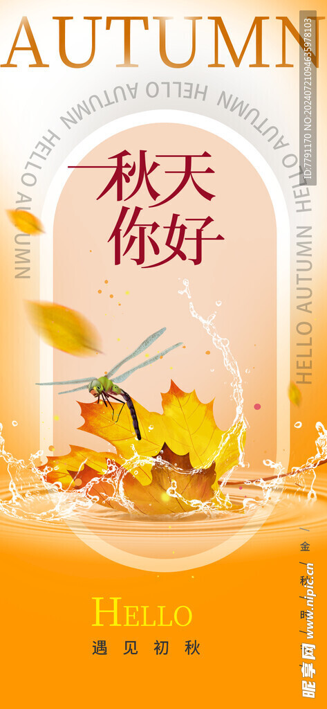 立秋海报 