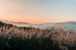 高山草原湖泊