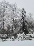 雪景