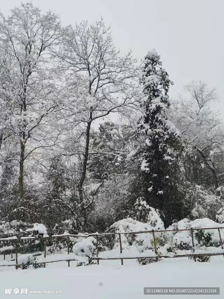 雪景