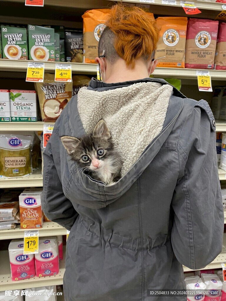 猫