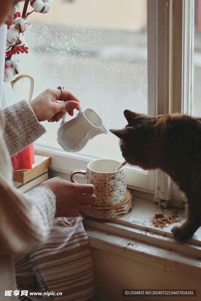 猫