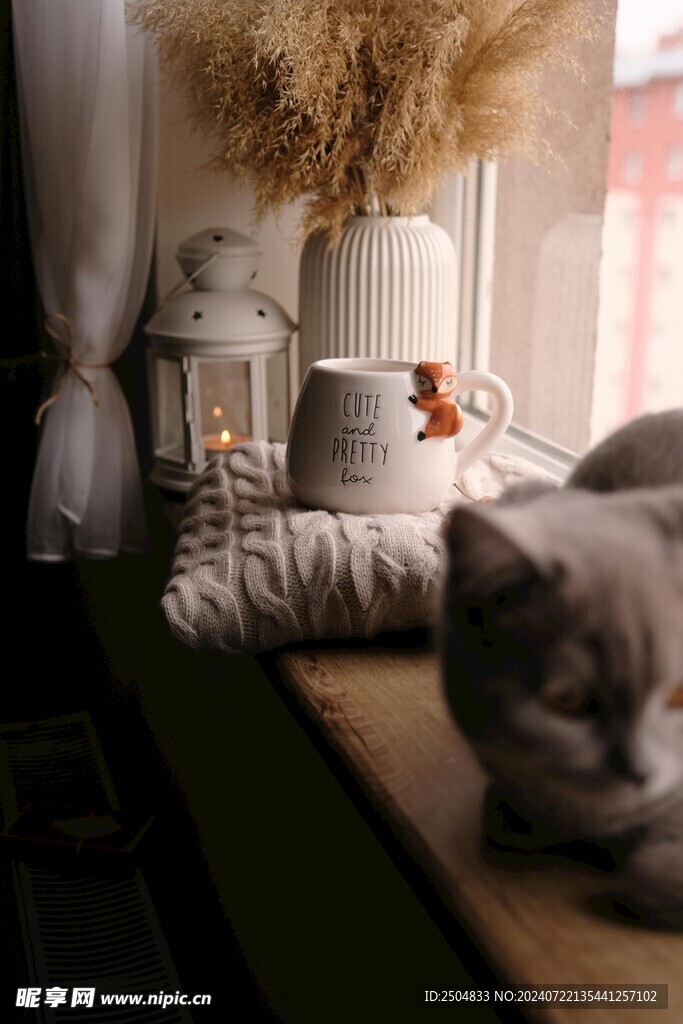 猫