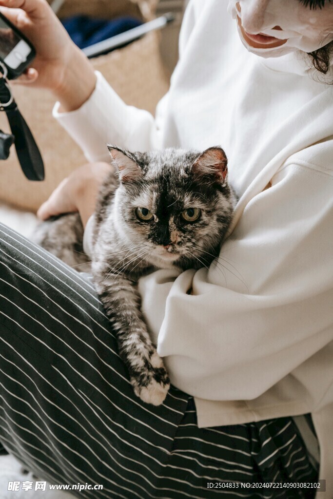 猫