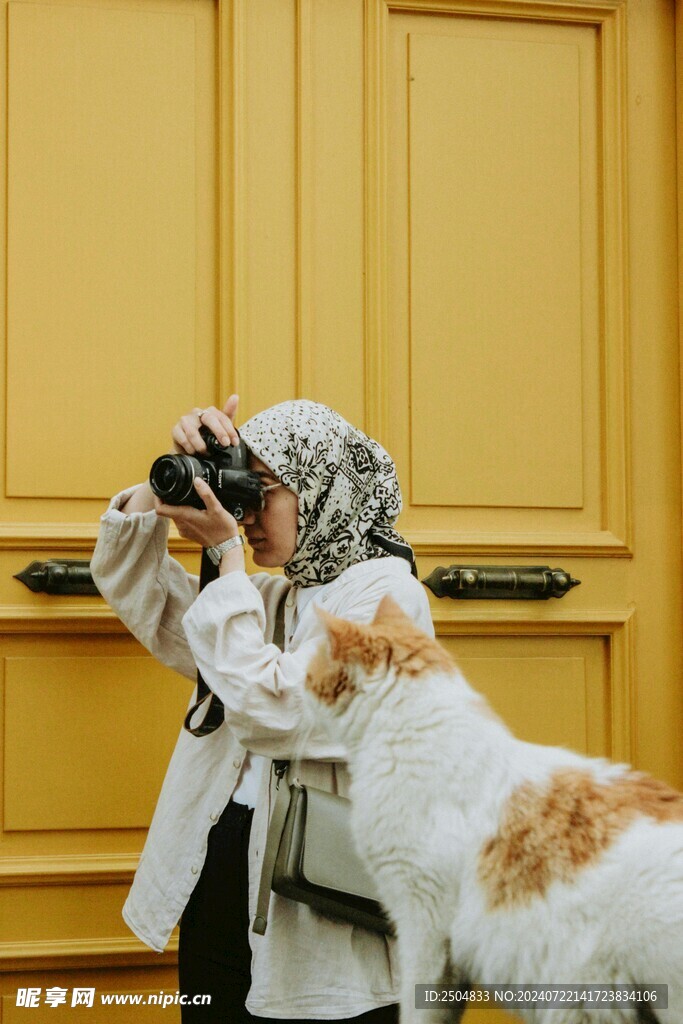 猫