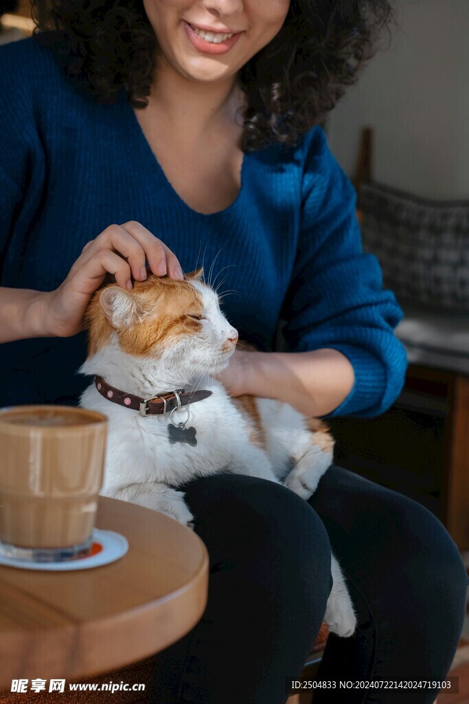 猫