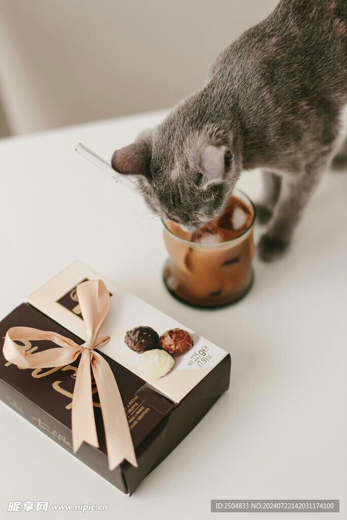 猫
