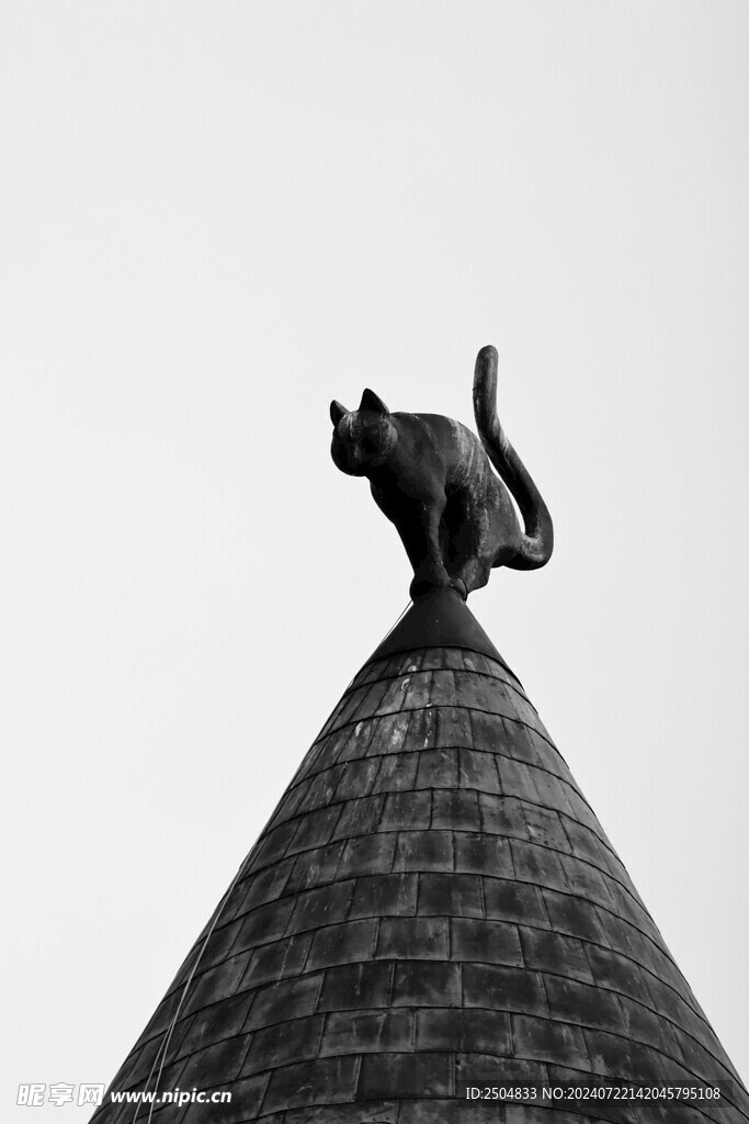 猫