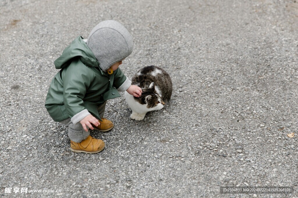 猫