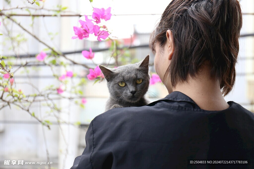 猫