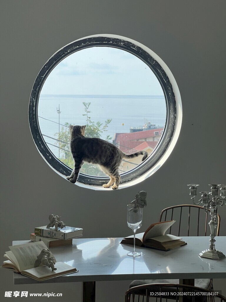 猫