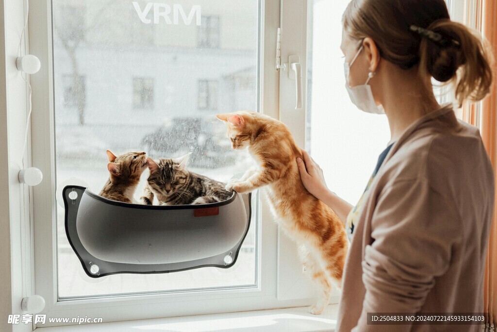 猫