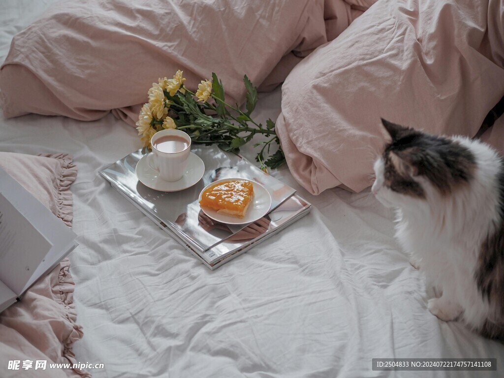 猫