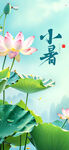 小暑海报 