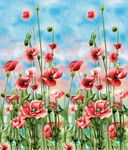 定位花
