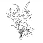 百合花线稿