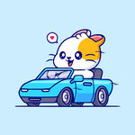 小猫开车