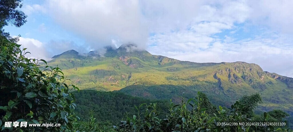 茶山风景