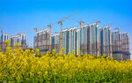 城市建筑