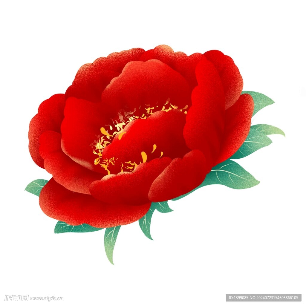 红色富贵牡丹花