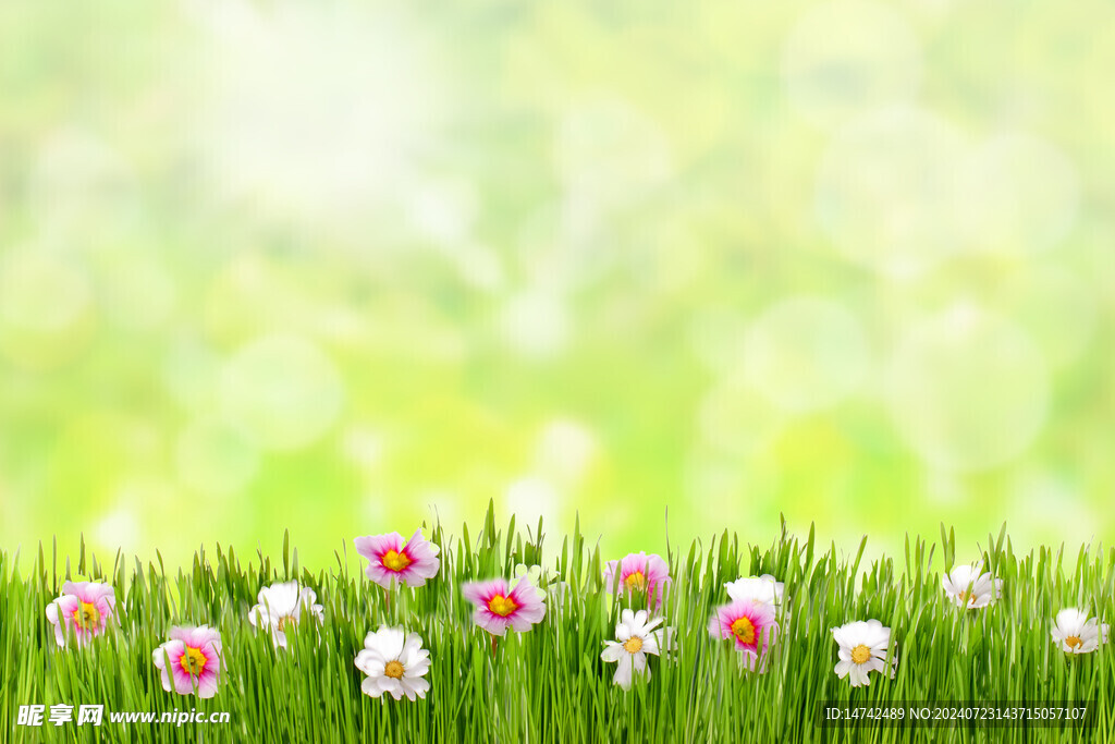 花朵背景