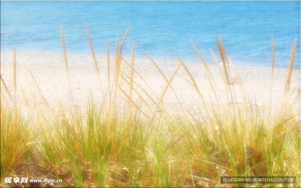 海边风景