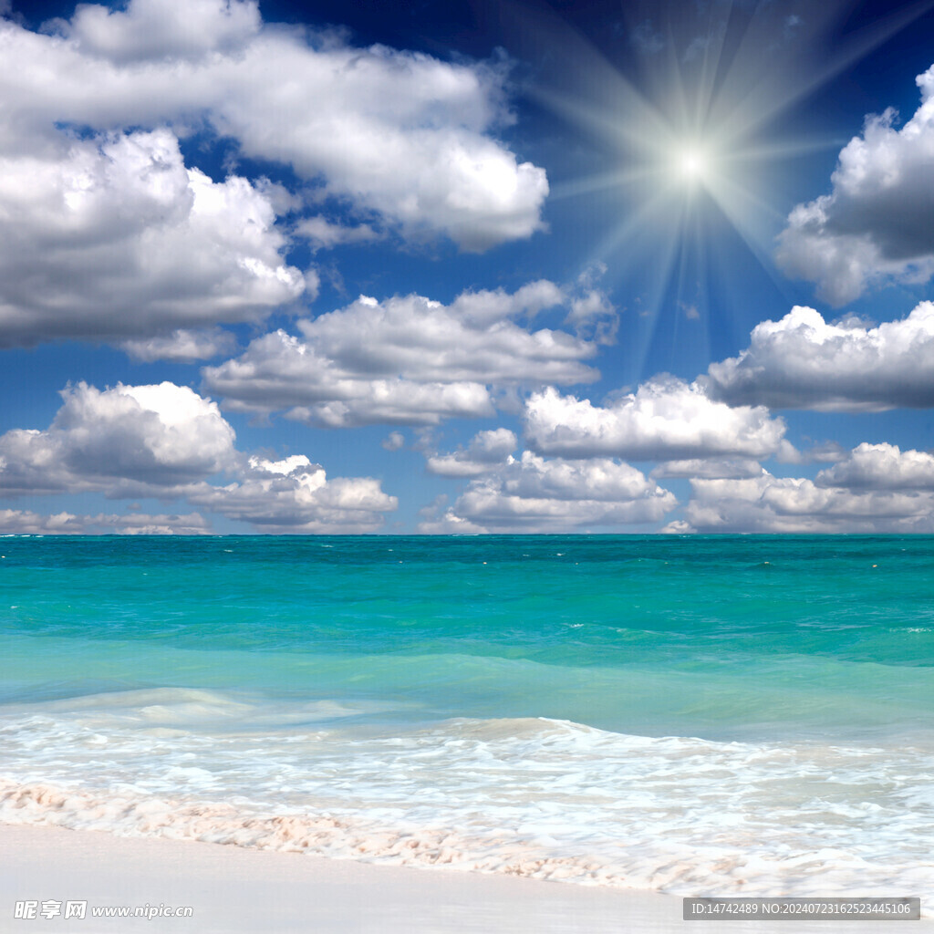 大海