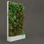 C4D模型 绿色植物 