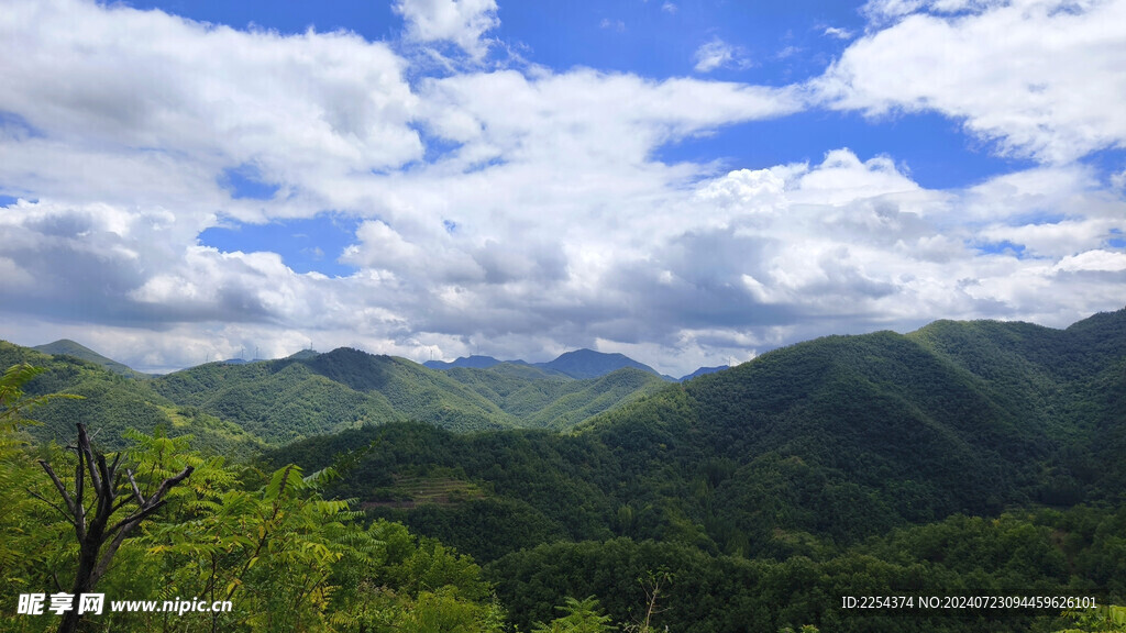 风景