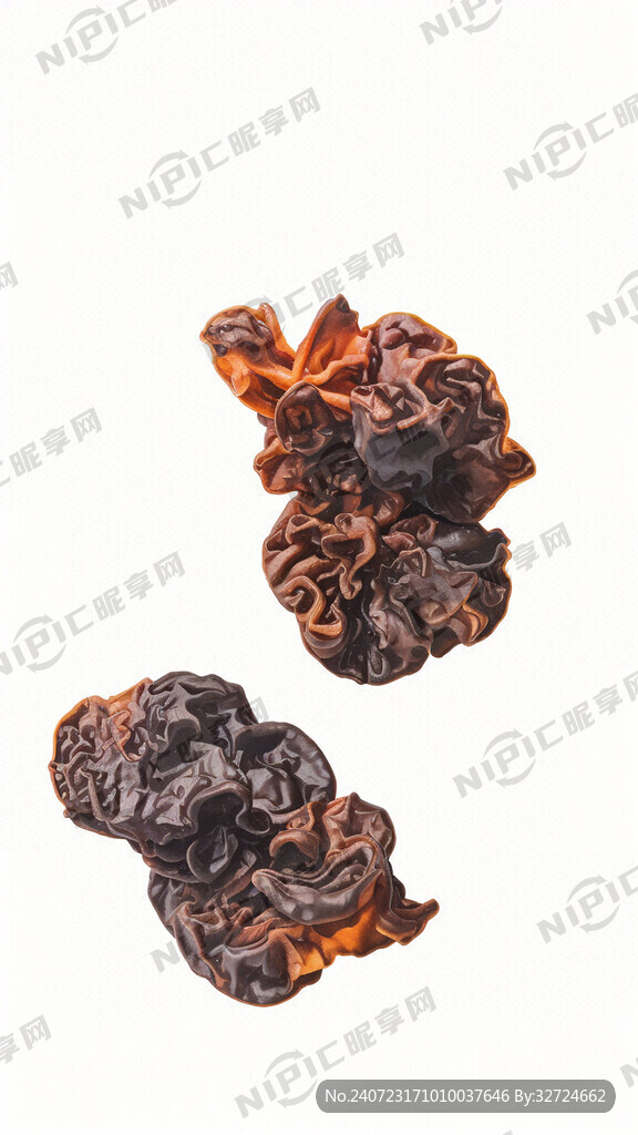 木耳