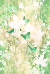 扎染花蝴蝶