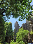 山