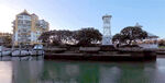 奥克兰游艇码头风景